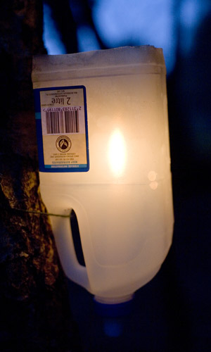 Bottlelamp.jpg