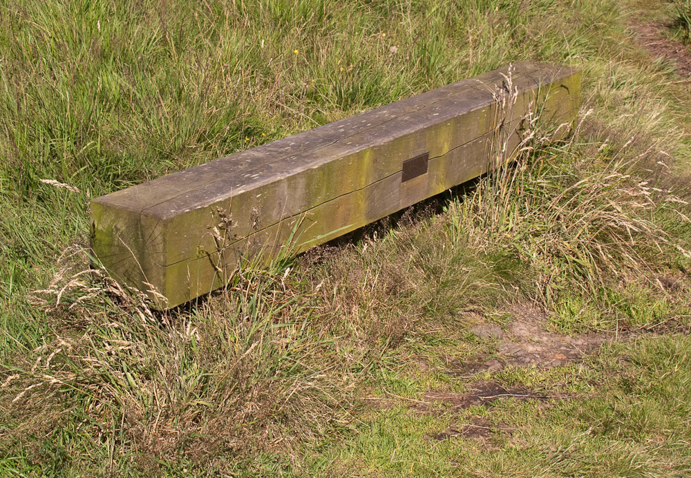 Crompton Moor Bench