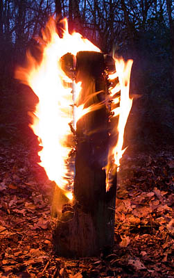 Fire Log lit and starting to catch. -   Gary Waidson - Ravenlore Bushcraft and Wilderness skills.