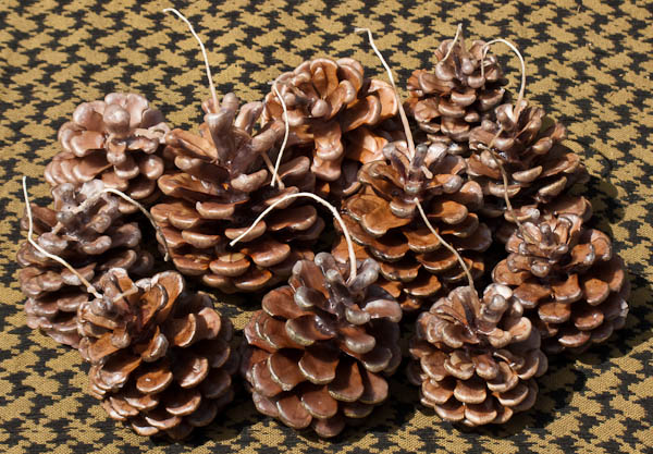 Pine_Cone_Candles.jpg