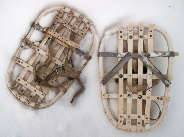 Snowshoes-3.jpg