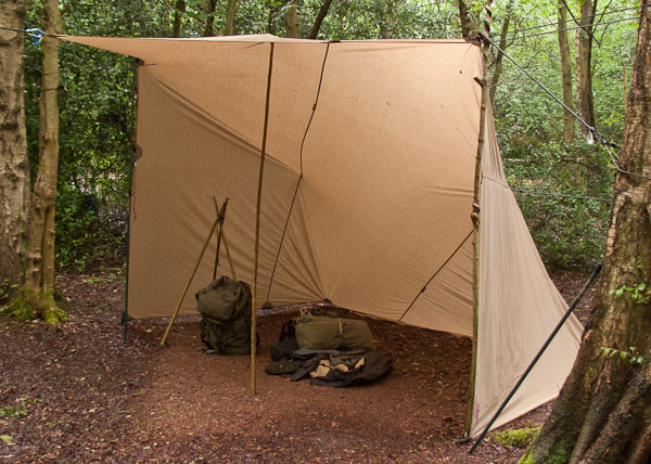 Adirondack shelter